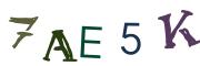Image CAPTCHA